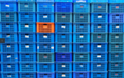 Organiza tus fotos