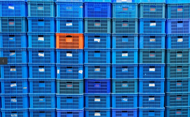 Organiza tus fotos